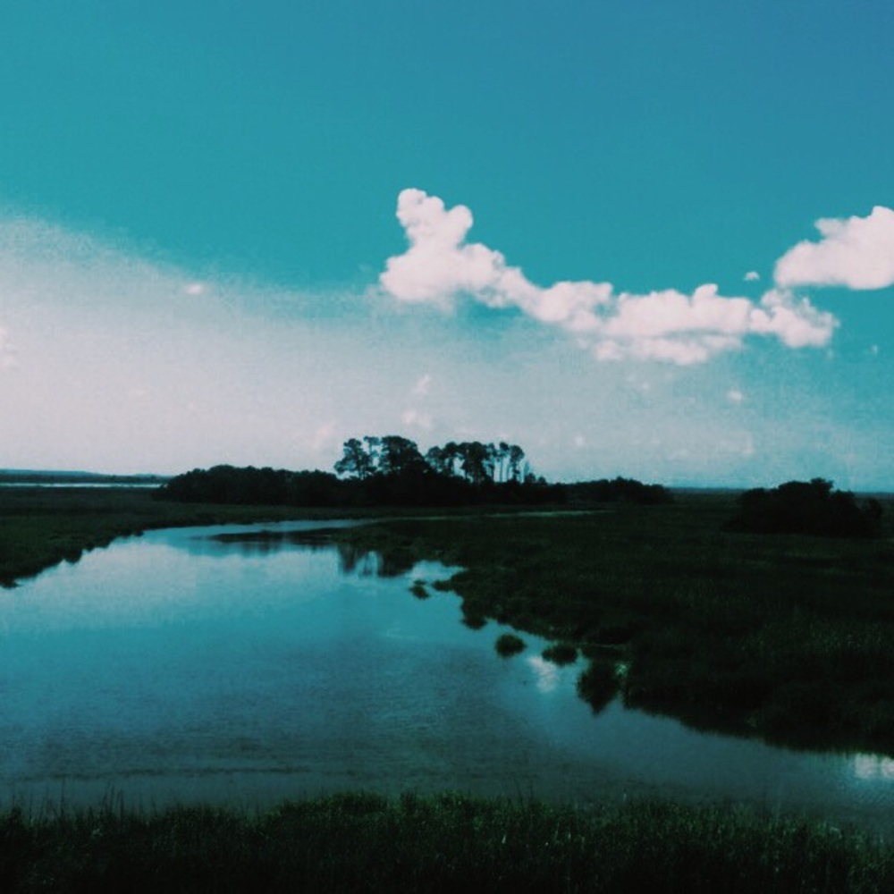 Meet your Posher, Sophia